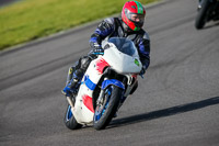 PJ-Motorsport-2019;anglesey-no-limits-trackday;anglesey-photographs;anglesey-trackday-photographs;enduro-digital-images;event-digital-images;eventdigitalimages;no-limits-trackdays;peter-wileman-photography;racing-digital-images;trac-mon;trackday-digital-images;trackday-photos;ty-croes